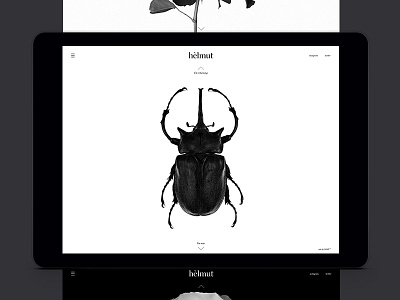 Helmut Website – Home page black and white drupal jquery minimal parallax responsive single page ui ux web design website