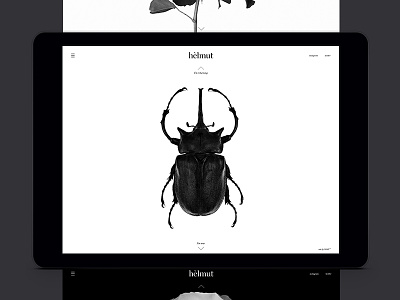 Helmut Website – Home page
