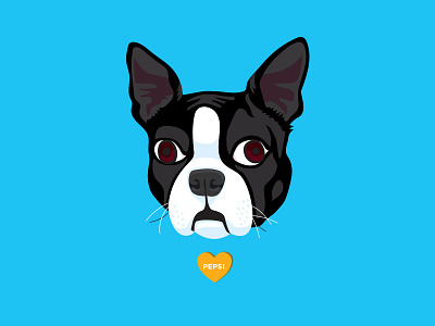 Grandpa's dog boston terrier dog drool illustration vector