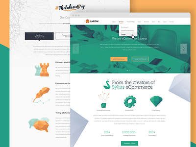 Lakion Website consulting dev development e commerce lakion landing lion minimalisc page sylius