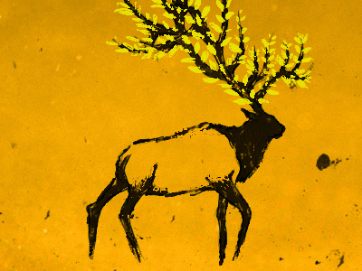 Elk Grove graphic design illustration