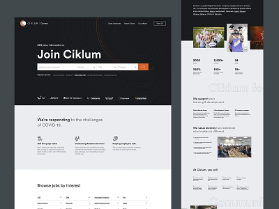 Ciklum Job Portal adobe xd ciklum ui ux web design