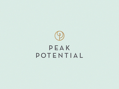 Peak Potential branding circle education identity logo spiral