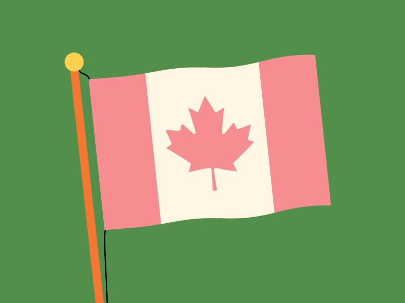 Our Stories in STEM - Canadian Flag GIF animation book canadian flag gif illustration kickstarter kids maple leaf retro vector video