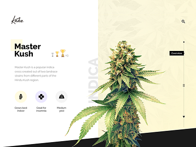 Master Kush Overview cannabis grow informations interface legaliza logo essa planta! site ui usability ux web website weed