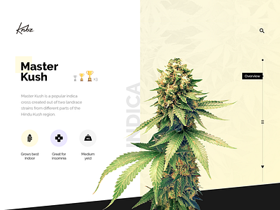 Master Kush Overview