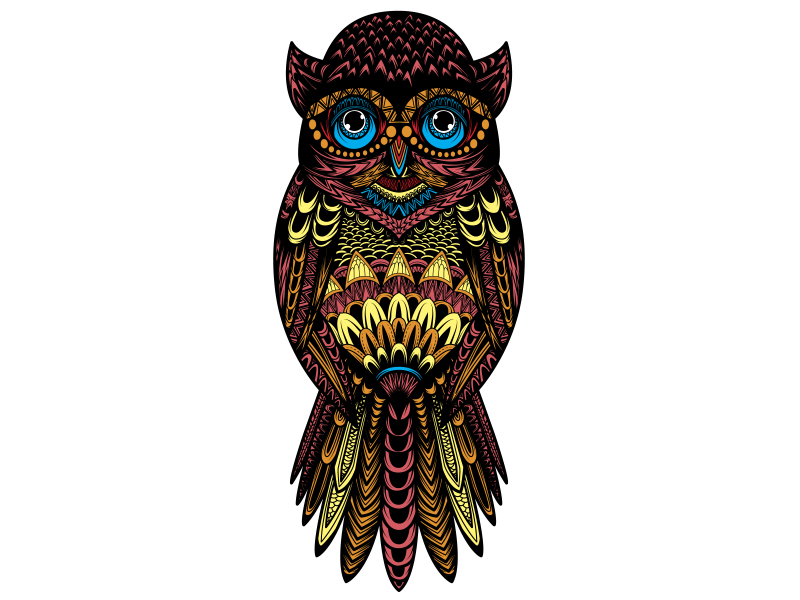 Owl Illustration By Andrei Petrea On Dribbble