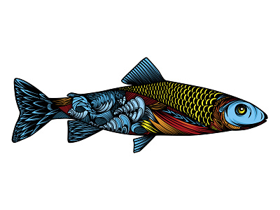 Fish illustration drawing fish illustration pattern vector