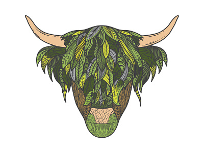 Highlander artwork cow illustration vector