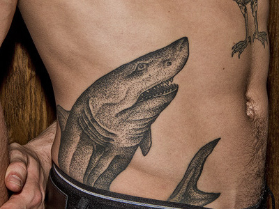 Shark Tattoo shark tattoo thomas hooper