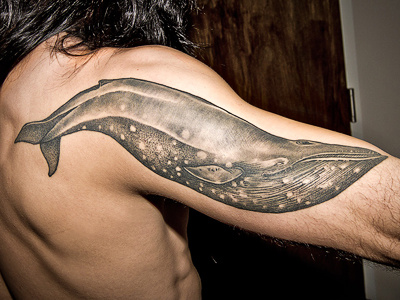 Blue Whale Tattoo blue whale tattoo thomas hooper
