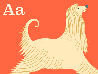 A is for Afghan Hound alphabet color dogs hound illustration puppy