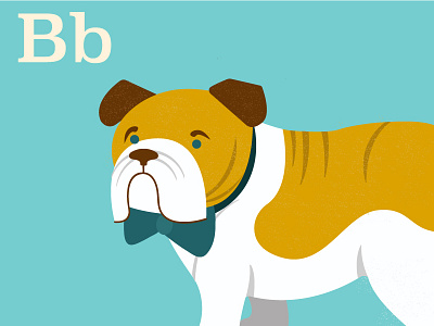 B is for Bulldog alphabet color dogs hound illustration puppy