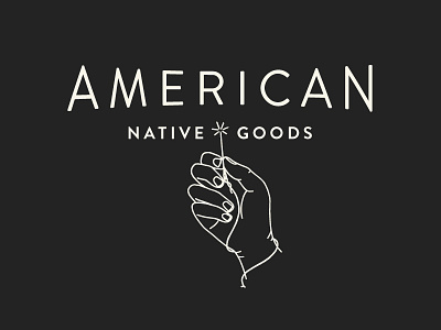 American Native Type + Illustration brand brand design hand illustration lock up type