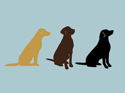 Three Labradors canine dogs illustration