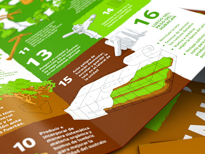 Instructivo 3 arte design diseño illustration ilustración infographics trifold vector