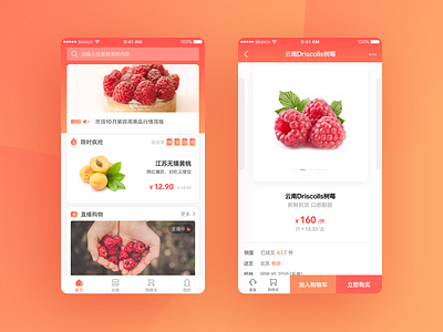 Daily UI #23——The fruit app redesign daily details fruit home sales sketch ui