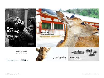 eg.43 animals character design element format graphic graphic design layout typography ui web web design website white