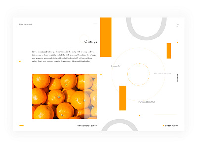Day.111 New World P.78 character constitution creativity design element format graphic layout minimalist orange placeholder white