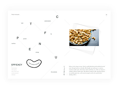 Day.122 New World P.94 cashew character constitution creativity element format graphic layout minimalist nuts placeholder white