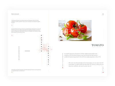 Day.126 New World P.88 character constitution creativity element format graphic layout minimalist placeholder tomato vegetable white