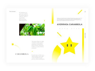 Day.141 New World P.5 carambola character constitution creativity design element format graphic layout minimalist placeholder white