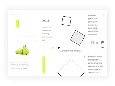 Day.150 New World P.2 character constitution creativity element format fruit graphic layout minimalist pear placeholder white