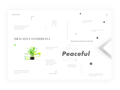 Day.256 New World P.151 character constitution creativity element format graphic layout minimalist placeholder white