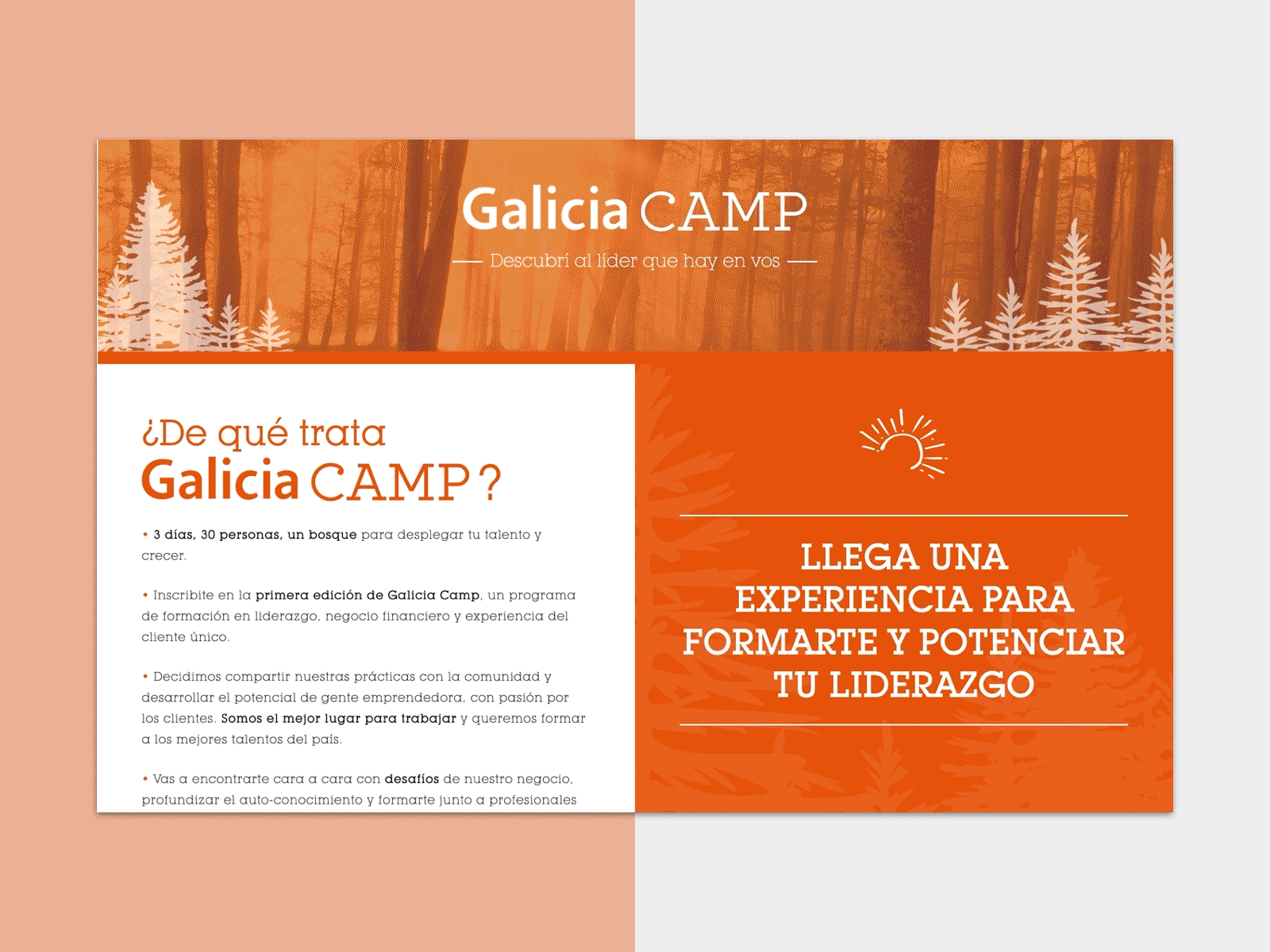 Banco Galicia / Galicia Camp css3 html5 javascript layout svg animation