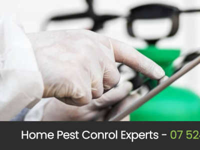 Home Pest Control Experts