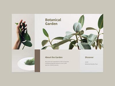 Botanical Garden botanical garden nudecolor ui ux webdesign website