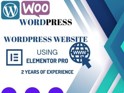 Elementor Expert astra divi elementor landing page wordpress wp web site