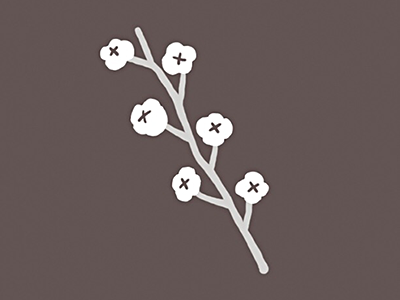 Cotton Flower cotton flower illust