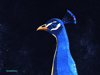 National Bird - Peacock art bird digitalart illustration interactions minimal visual designs