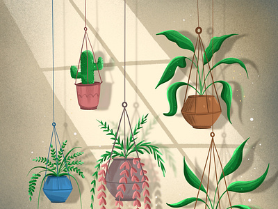 Plant Illustrations