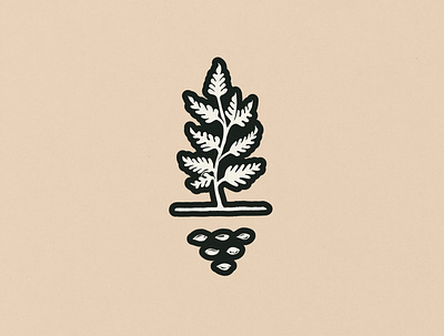 Time to Grow arizona artwork design drawing graphic grow illustration logo plant