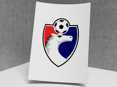 FLK 1 soccer logo