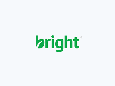 Bright Logotype brand branding bright flat leaf logo logodesign logotype water