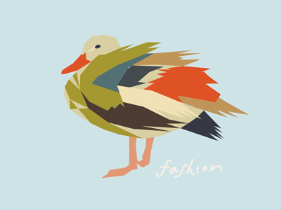 duck color duck fashion illustration