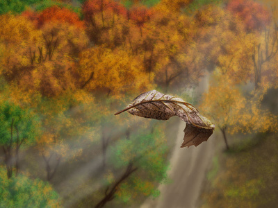 Fly leaf digital art digital painting fall leaf