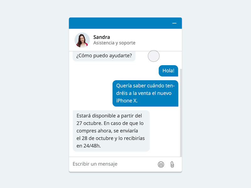 Chat Animation shopping animation interations microinteractions mobile motion ui ux interface chat e-commerce