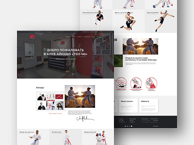 Концепт для сайта Айкидо aikido clean design graphic homepage ui ux webdesign website