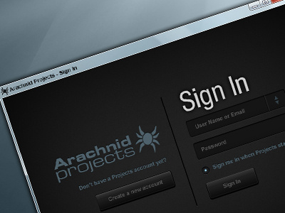 Project Manager Sign In design program project manager sign in user experience user interface windows