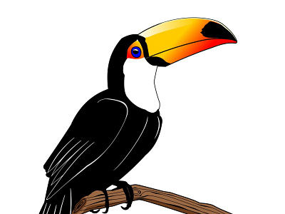 TOUCAN VECTOR