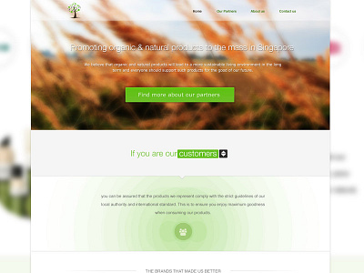 Organic green home page landing page natural one page product web design website
