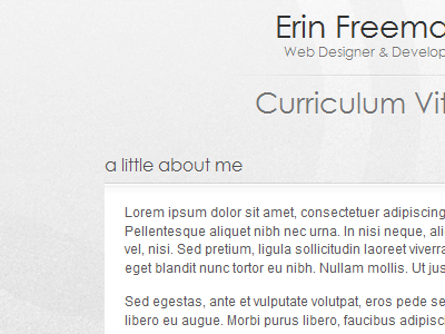 Portfolio / CV Showcase Site cv portfolio resume showcase