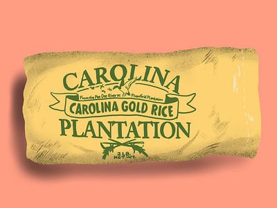 Carolina Gold Rice food illustration low country rice southern food