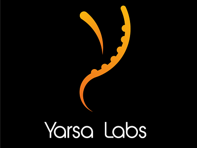 Yarsa Labs branding design icon logo