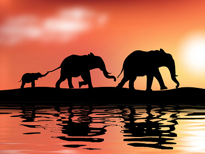 Elephant design elephant family illustration silhouette vector
