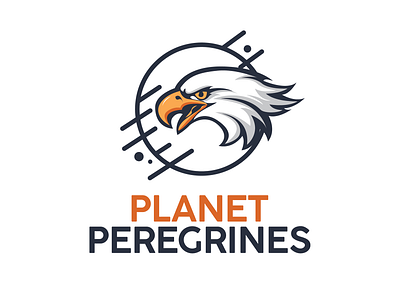 Planet Peregrines branding design falcon icon illustration logo mascot logo vector